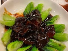 -全聚德(上海首店浦东店)