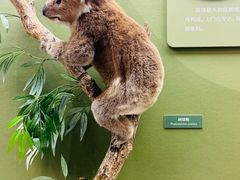 -国家自然博物馆