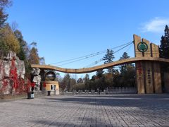 -五营红松林海景区