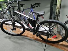 -道路口单车爱瓦士dahon大行