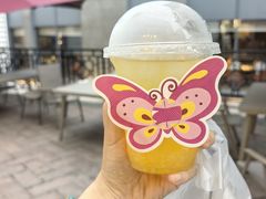 -星漠亲子餐厅•有机食材•儿童游乐