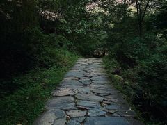 -少华山国家森林公园