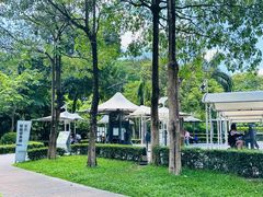 -阳台山森林公园
