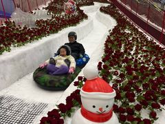 -广州热雪奇迹