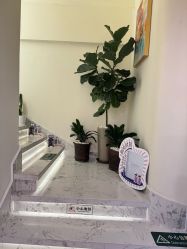 -海涛医疗美容·面部抗衰·注射美鼻