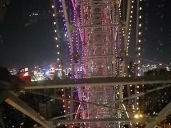 -凤岭儿童公园