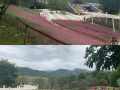-牛岗山公园