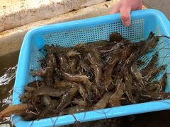 -唐蔡生鲜市场