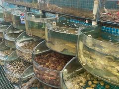 -仙螺岛海鲜自助餐厅(总店)