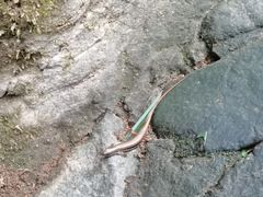 -达蓬山旅游度假区