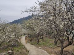 -广州市流溪河国家森林公园
