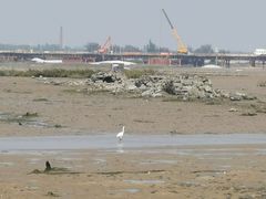 -北海金海湾红树林生态旅游区