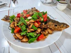 -煲来饱去冷水鱼