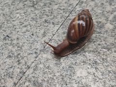 -厦门国家会计学院