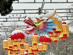-南山公园