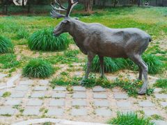 -北京麋鹿生态实验中心