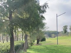 -苏州湾体育公园
