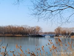 -大兴滨河森林公园