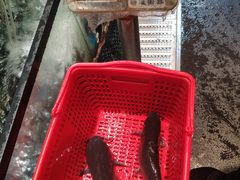 -老板恋上鱼(印象城店)