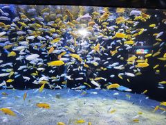 -成都浩海立方海洋公园