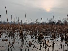 -云龙湖旅游景区