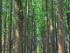 -采石矶景区