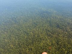 -尚贤河湿地