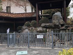 -楼观道温泉酒店