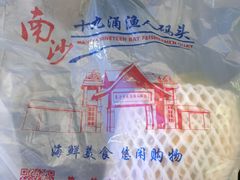 -大湾区中央湿地公园-十九涌