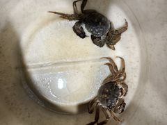 -珍宝蟹舫·巴城味道(巴城总店)
