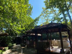 -春晖园度假酒店温泉