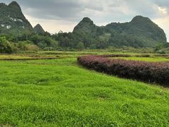 -靖西鹅泉风景区