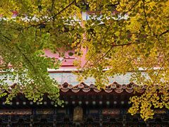 -故宫博物院(故宫)
