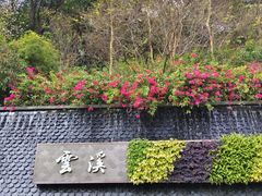 -云溪植物园