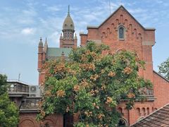 -上海佘山国家森林公园西佘山园