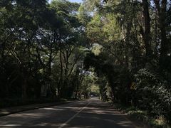 -观澜湖高尔夫球会