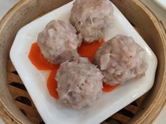 -柳饮·春柳酒家