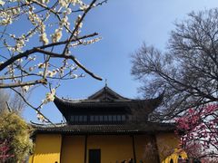 -红梅公园