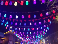 -鼎盛王朝康熙大典实景演出