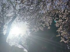 -唐城墙遗址公园