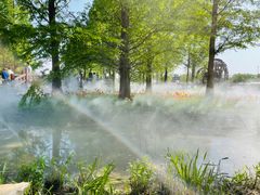 -北京国际鲜花港