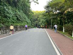 -火炉山森林公园