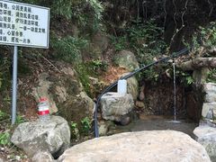 -杭州半山国家森林公园