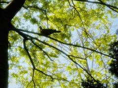 -苏州河梦清园环保主题公园