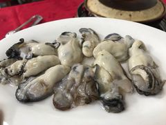 -花苑美食横琴生蚝火锅(拱北粤华路店)