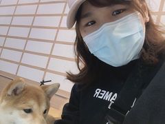 -柴源莊·柴小宠柴犬咖啡