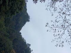 -缙云山景区