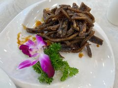 -桦立酒家(宜山路店)