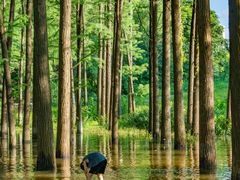 -汉水公园