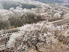 -居庸关长城